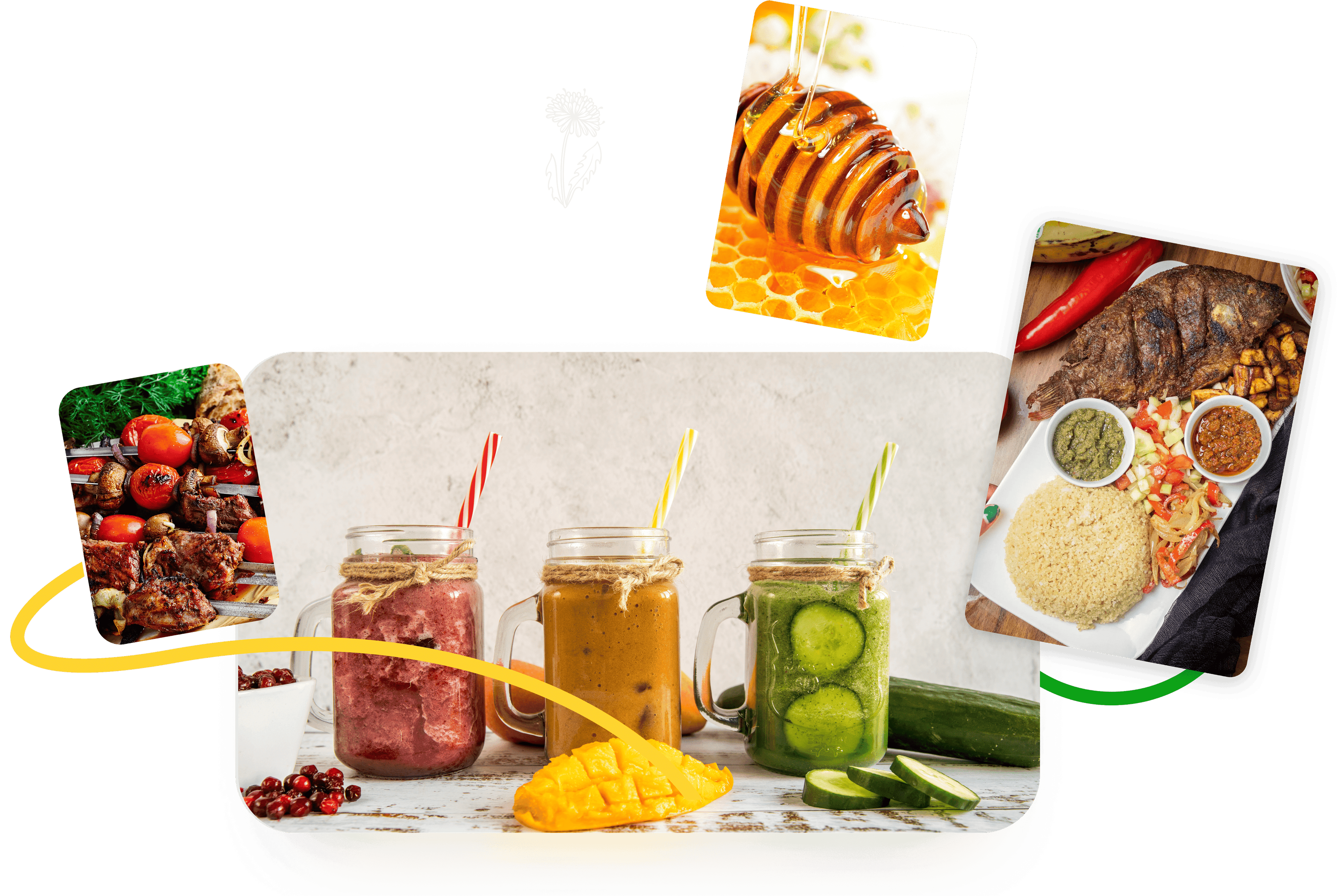 Présentation Helfi & Bio